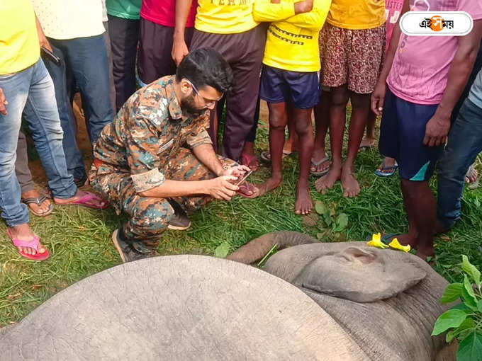 ছবি তুলছেন বন দফতরের কর্মীরা