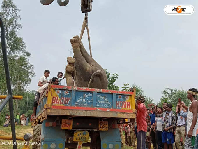 লরি করে নিয়ে যাওয়া হচ্ছে দেহ