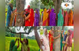 Rakhi 2023:বিমানবন্দরের সম্প্রসারণে কাটা পড়বে সবুজ, গাছকে রাখি বেঁধে আজমগড়ে মহিলাদের প্রতিবাদ