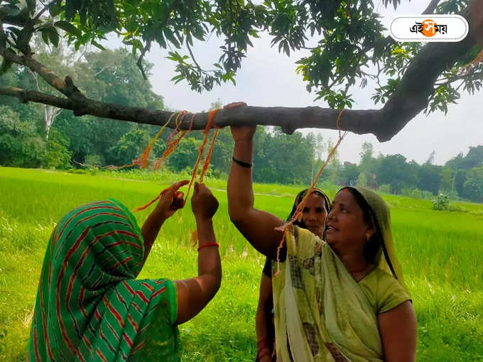 গাছকে রাখি বেঁধে উৎসব পালন