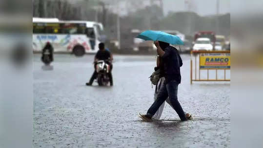 ஆலங்குடியில் வெளுத்து வாங்கிய மழை... விவசாயிகள் மகிழ்ச்சி