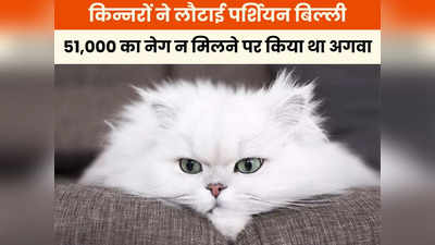 Indore News: मनचाहा नेग न मिलने पर बिल्ली को किडनैप करने वाले किन्नरों ने लौटाई पर्शियन कैट, 51,000 ना मिलने पर किया था अगवा