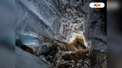 World Dangerous Cave: নেই আলো, মেঝেতে রাশি রাশি মমি! বিশ্বের অন্যতম বিপজ্জনক গুহার হদিশ
