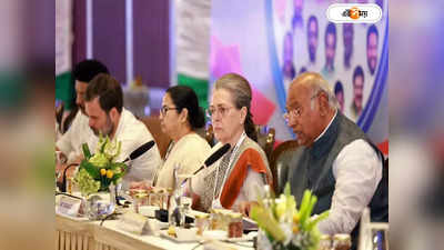 INDIA Alliance Mumbai Meeting : মুম্বইয়ের চোখ ধাঁধানো হোটেলে বৈঠকে ইন্ডিয়া জোট, প্রতি রাতের ঘর ভাড়া শুনলে চমকে উঠবেন