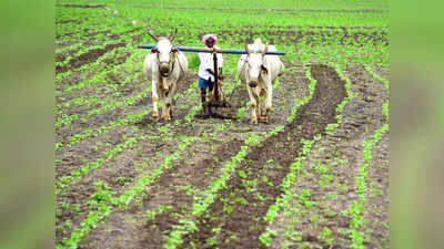 Yavatmal Farmer: महिनाभरात ३७ शेतकऱ्यांनी मृत्यूला कवटाळले, २३ वर्षांतील चिंताजनक आकडेवारी समोर