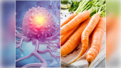 Cancer Preventive Foods: চিন্তা নেই, এই ৫ খাবার নিয়মিত খেলেই দূরে থাকবে প্রাণঘাতী ক্যানসার! তাই দ্রুত ডায়েট বদলে ফেলার করুন অঙ্গিকার