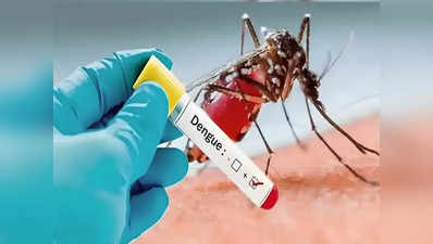Dengue Cases: कानपुर में तेजी से पैर पसार रहा है डेंगू, अब तक 123 पहुंची मरीजों की संख्या
