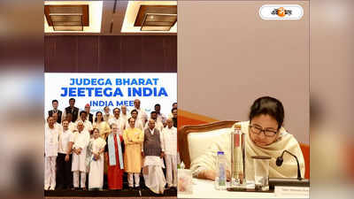 Mamata Banerjee : রাখলেন না বক্তব্য, অভিষেককে নিয়ে তড়িঘড়ি জোট বৈঠক ছাড়লেন মমতা