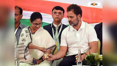 Mamata Banerjee Rahul Gandhi: রাহুলের আদানি নিন্দায় অসন্তোষ মমতার? সূত্রের দাবি ঘিরে জোর চর্চা