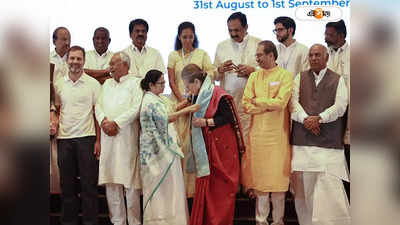Mamata Banerjee : জাতিগত মেরুকরণে যেন ব্যবহার না-হয় কাস্ট সেন্সাস, সতর্ক তৃণমূলের