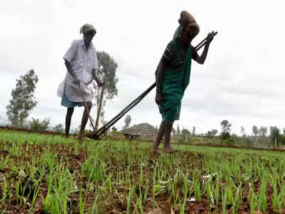 Banda News: चित्रकूट मंडल के चार लाख किसानों पर 80 अरब का कर्ज, अब सरकार से कर्ज माफी की आस