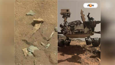 Mars Human Mission: মঙ্গলে মিলল মানুষের হাড়! NASA-র দেওয়া ছবি ঘিরে হইচই