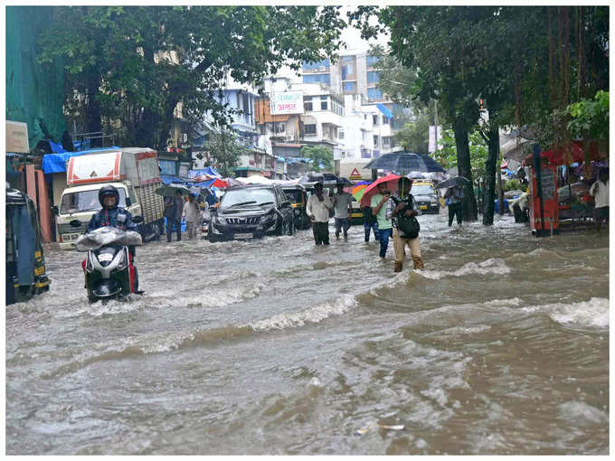 புத்துயிர் பெற்ற பருவமழை