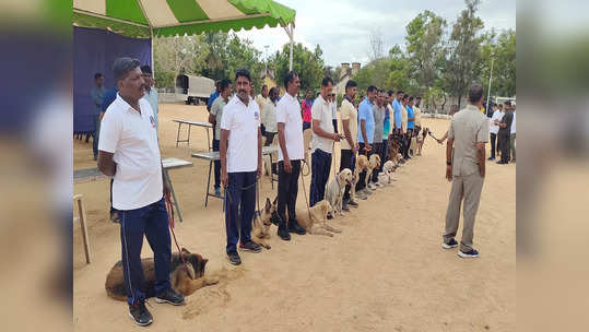 கோவை காவலர் பயிற்சி பள்ளி மைதானத்தில் நடைபெற்ற நாய்களுக்கான போட்டிகள்!