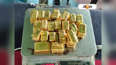 Gold Smuggling: রবীন্দ্রনাথ-বিধানের বাড়ি থেকে উদ্ধার ১০৬টি সোনার বিস্কুট, পাচারের আগেই গ্রেফতার ২