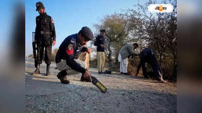 Pakistan News: পৈশাচিক! ফের পাথর ছুড়ে তরুণী বধূকে খুন, পাকিস্তানে শিকেয় মানবাধিকার