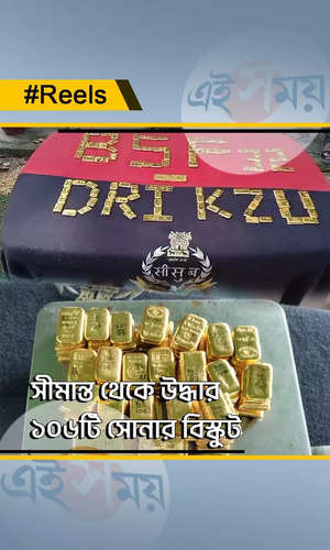 106 gold biscuits recovered from india bangladesh border watch video