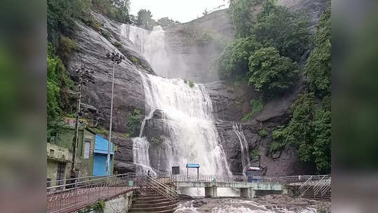 தென்காசியில் தொடர் சாரல் மழை.. குற்றாலம் அருவிகளில் வெள்ளப்பெருக்கு.. சுற்றுலாப் பயணிகள் குளிக்க தடை!