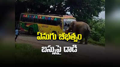 Parvathipuram: బస్సుపై ఏనుగు దాడి.. భయంతో ప్రయాణికుల పరుగులు