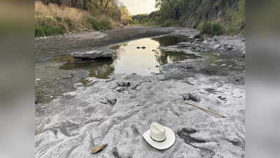 दुष्काळामुळे नदी कोरडी पडली अन् ११०० लाख वर्ष जुनं रहस्य समोर आलं, पाहून शास्त्रज्ञ अवाक्