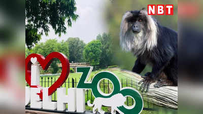 Makak in Delhi Zoo: दिल्लीवाले 9 साल बाद सुनेंगे मकाक की आवाज, इस अनूठे बंदर के बारे में जानिए