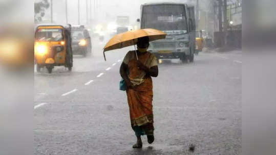 கரூரில் கனமழை... 200 ஆண்டுகள் பழமையான ஆலமரம் முறிவு!