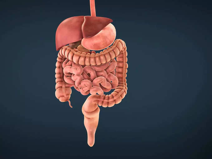 पाचन को सुधारने में सहायक