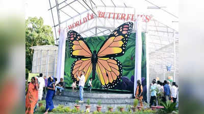 Satna News: सतना में बनेगा तितलियों का अनोखा संसार, इस अनोखे पार्क का मंत्री राजेंद्र शुक्ला ने किया लोकार्पण
