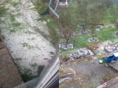Himachal Weather Update: हिमाचल में मौसम ने फिर ली करवट, शिमला और कुल्लू में ओलावृष्टि, सेब की फसल को नुकसान