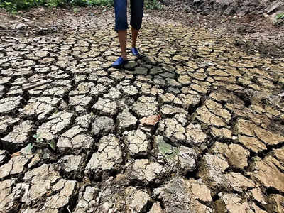 ರಾಮನಗರ ಜಿಲ್ಲೆಯ 3 ತಾಲೂಕು ಬರಪೀಡಿತ, ಮುಂಗಾರಿನಲ್ಲಿ ಶೇ 69 ರಷ್ಟು ಮಳೆ ಕೊರತೆ