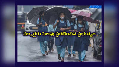 School Holidays - Rains : స్కూళ్లకు సెలవు ప్రకటించిన ప్రభుత్వం.. పూర్తి వివరాలివే 