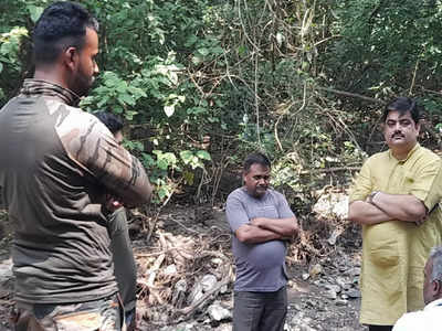 Uttarakhand News: राजाजी नेशनल पार्क टाइगर रिजर्व में हुई फिल्म की शूटिंग, पार्क प्रशासन ने मूंद ली आखें