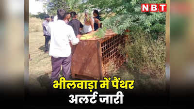Rajasthan : गंगापुर शहर में पैंथर के मूवमेंट से दहशत का माहौल, घरों से बाहर ना जाने की दी चेतावनी