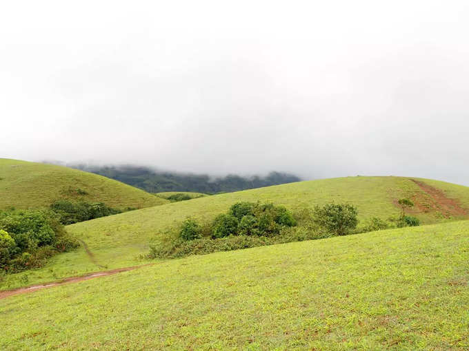 ಝಡ್ ಪಾಯಿಂಟ್