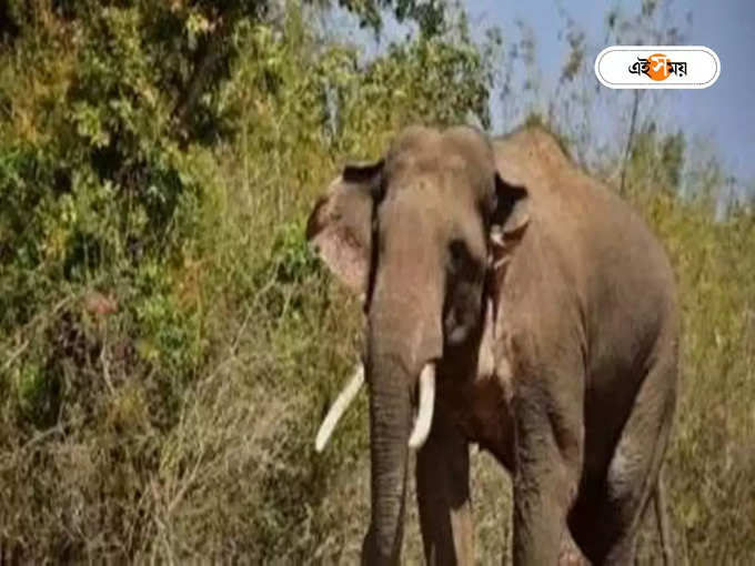 পর্যটকদের অন্যতম পছন্দ