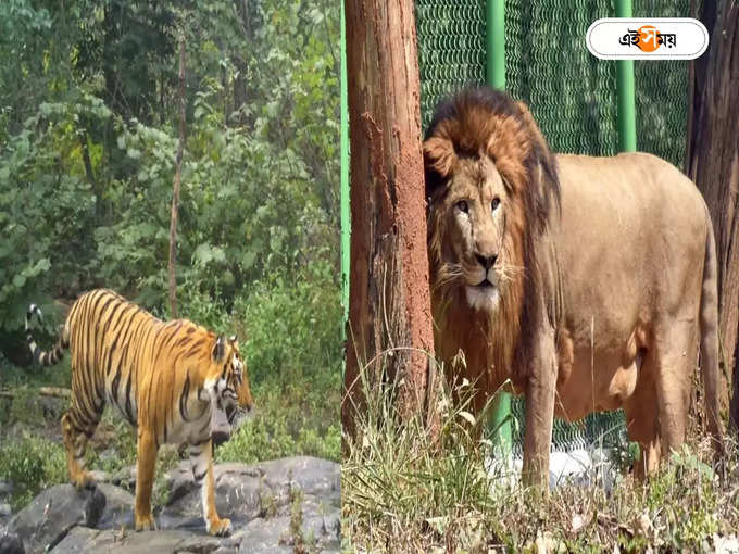 জেনে নিন বান্ধগড়ের দিনক্ষণ