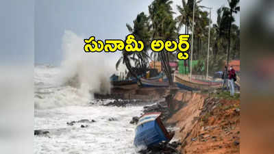 Tsunami Alert: అర్ధరాత్రి సునామీ అలర్ట్.. 20 నిమిషాలు సైరన్.. ఆ తర్వాత ఏం జరిగిందంటే? 