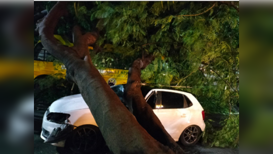 சேலம் - கனமழையால் ராட்சச மரம் முறிந்து விழுந்தது; அதிநவீன சொகுசு கார் சேதம்!