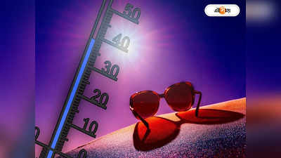 Hottest Weather: জুন-অগাস্টে তাপমাত্রার রেকর্ড! উষ্ণায়নের জেরে মারাত্মক ক্ষতির শঙ্কা