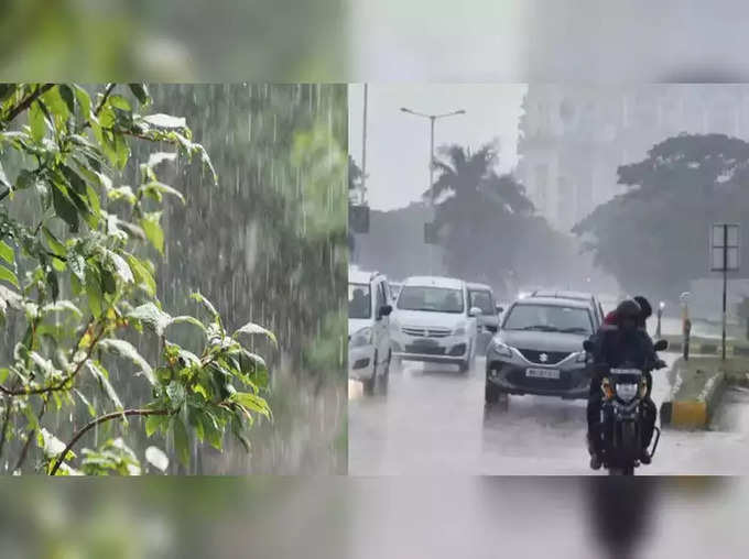 Karnataka Rain: ಕರಾವಳಿಯಲ್ಲಿಂದು ಭಾರೀ ಮಳೆ ಸಾಧ್ಯತೆ; ಇತರೆ ಜಿಲ್ಲೆಗಳಲ್ಲೂ ಉತ್ತಮ ವರ್ಷಧಾರೆ