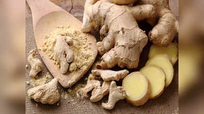 Raw ginger Vs Dry Ginger: কাঁচা না শুকনো আদা, কোনটা খেলে শরীর থাকবে রোগমুক্ত? জেনে নিন পুষ্টিবিদের পরামর্শ!