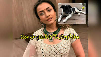 Mahesh Babu Pet : ప్లూటో పోయింది.. స్నూపీ వచ్చింది!.. నమ్రత పోస్ట్ వైరల్