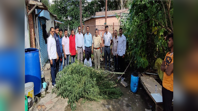 पठ्ठ्याचं भलतचं धाडस; घरासमोरच ती झाडे लावली, पोलिसांना गुप्त माहिती मिळाली, अन् नंतर...