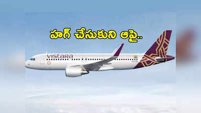 Flight Attendant: విమానంలో ప్రయాణికుడి లైంగిక వేధింపులు.. సిబ్బందిని కౌగిలించుకుని ఆపై..! 