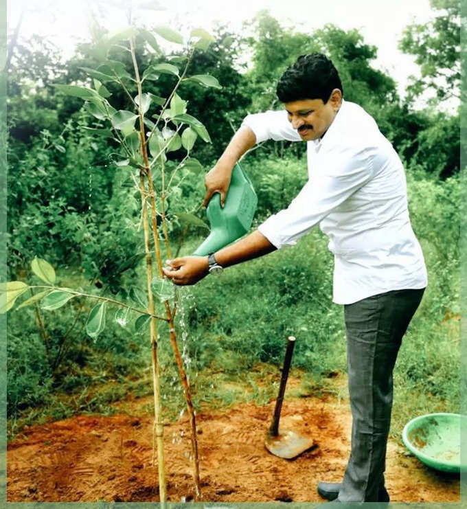 150 ఏళ్లనాటి మామిడి చెట్టును చూశారా.. వామ్మో ఎంత పెద్దగుందో..!