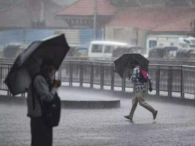 Haryana Weather Update: हरियाणा में फिर बदला मौसम का मिजाज, कई जिलों में बारिश, गर्मी से मिली राहत