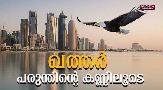 qatar beauty  through falcon: ഖത്തർ കാണാം സ്വൽപം വെറെെറ്റിയായി
