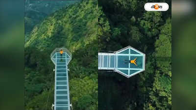 Cantilever Glass Bridge Video : দুই পাহাড়ের মাঝে ঝুলন্ত কাচের সেতু, ভারতের পর্যটন স্থলের এই ভিডিয়ো চমকে দেবে আপনাকে