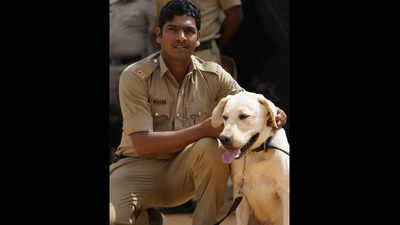 पुल‍िस के छ‍िपे नायकों को पहचान द‍िलाने की पहल, X पर आया Bengaluru पुलिस का स्‍पेशल डॉग स्‍क्‍वाड K9