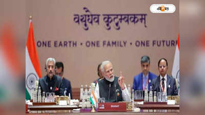 G20 New Delhi Summit : ভারতই ভাগ্যবিধাতা! জি২০ কূটনীতির চাণক্য টিম মোদী